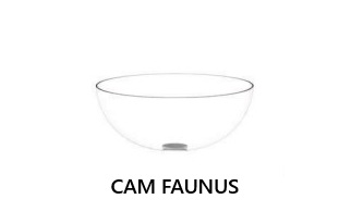 RS391273010-CAM FAUNUS